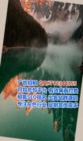 北辰代母信息技术公司